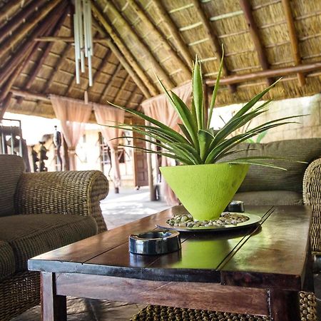 Summer Garden Guest House Benoni Buitenkant foto